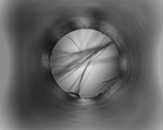 X0000099950477200805301239