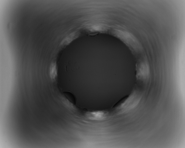 X0000099950478200805301239