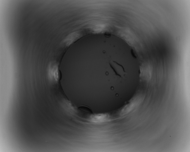 X0000099950479200805301239