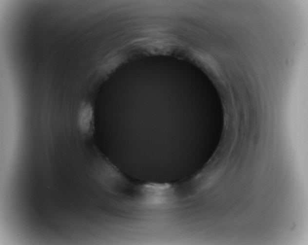 X0000099950480200805301239
