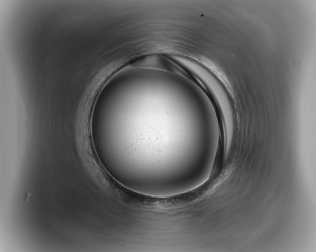 X0000099950481200805301239