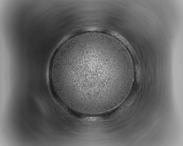 X0000099950482200805301239