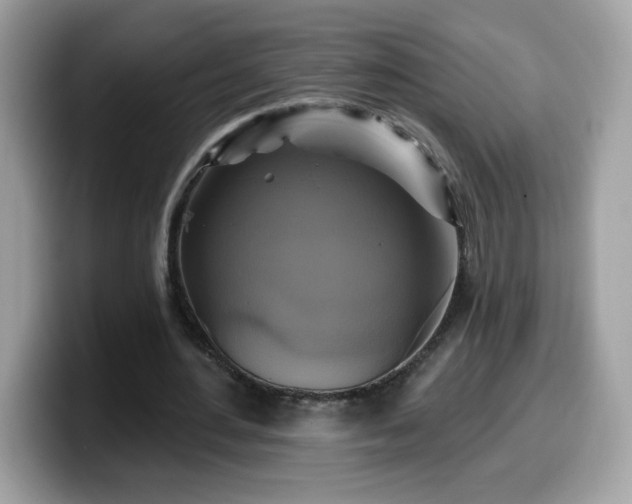X0000099950484200805301239