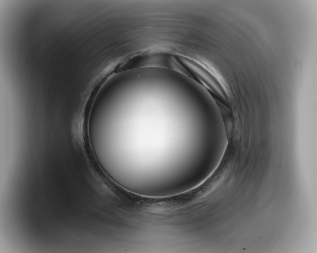 X0000099950485200805301239