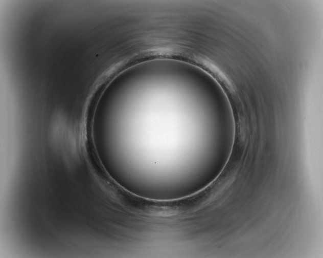 X0000099950486200805301239