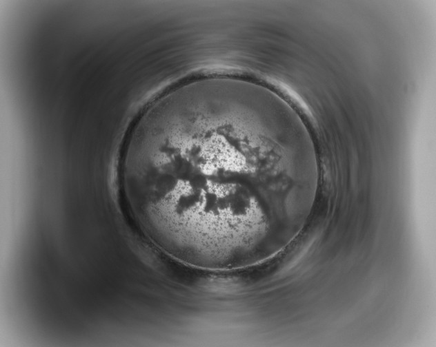 X0000099950487200805301239