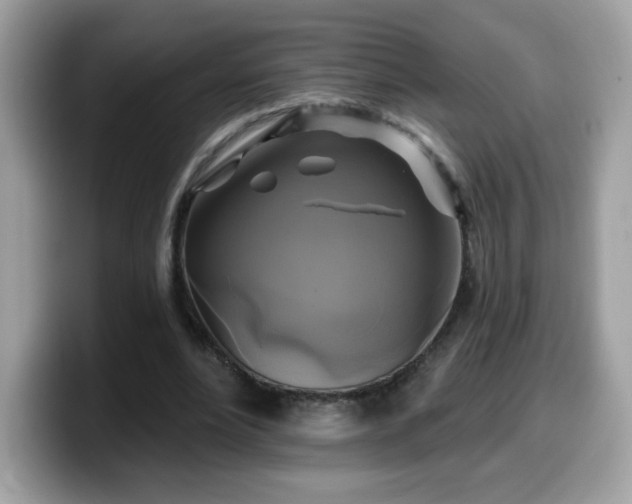 X0000099950488200805301239