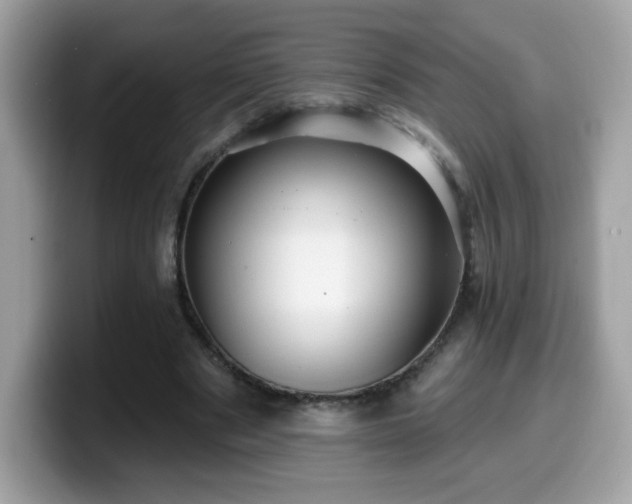 X0000099950489200805301239