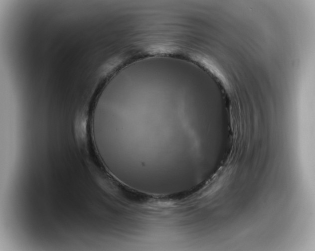 X0000099950491200805301239