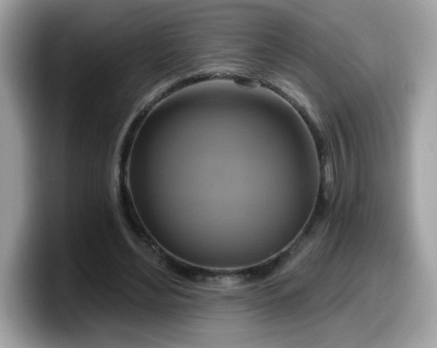 X0000099950492200805301239