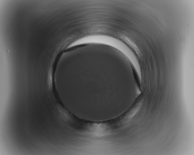 X0000099950493200805301239