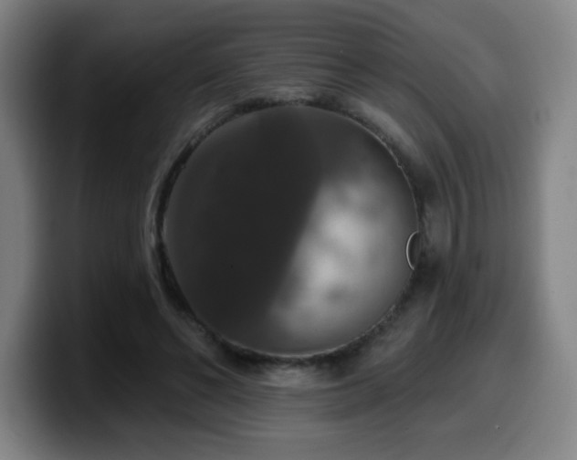 X0000099950494200805301239