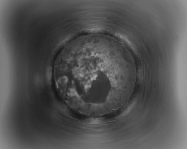 X0000099950495200805301239