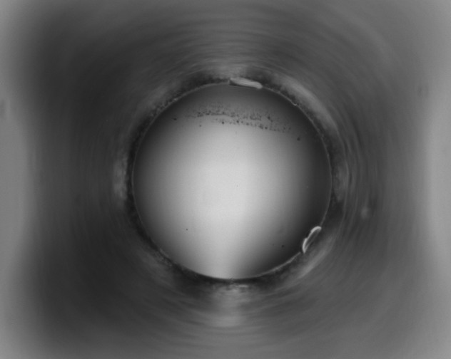 X0000099950497200805301239