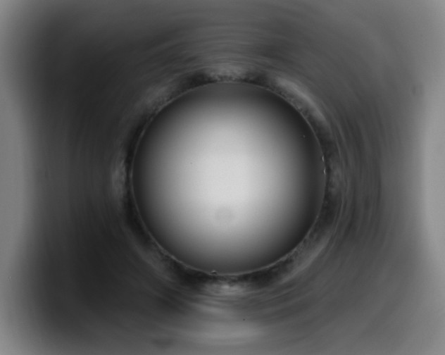 X0000099950498200805301239