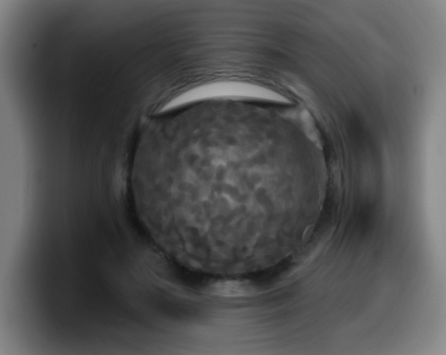 X0000099950499200805301239