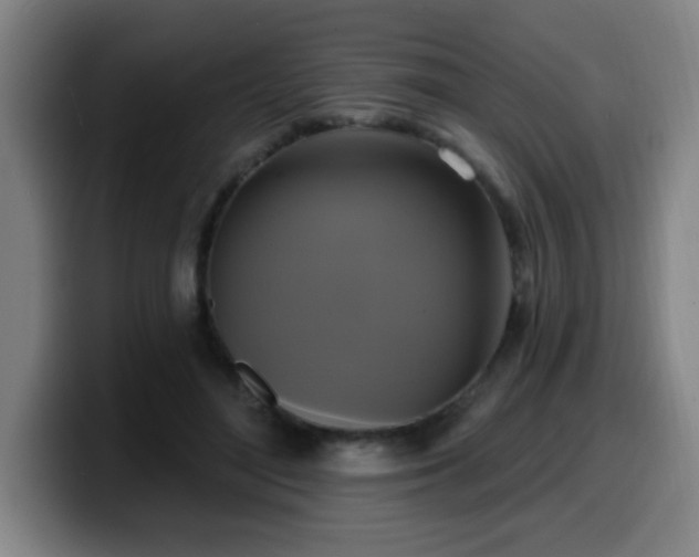 X0000099950500200805301239