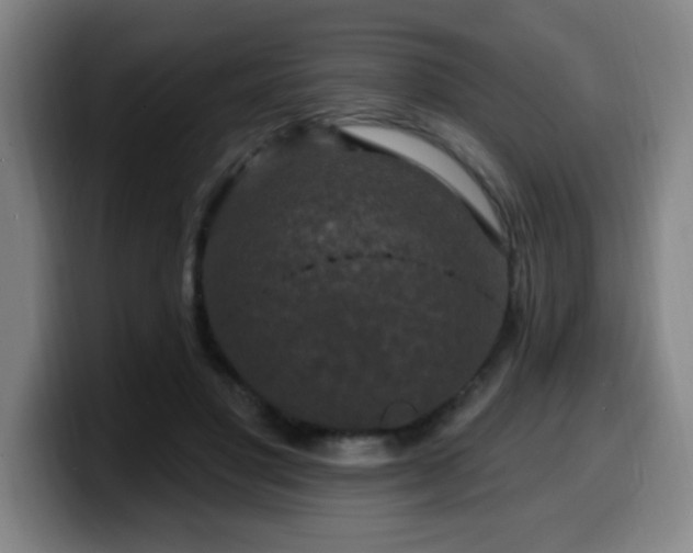 X0000099950501200805301239