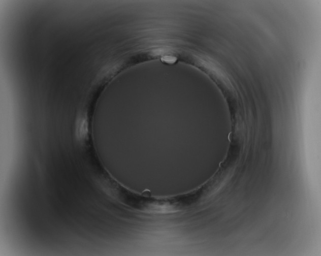 X0000099950502200805301239