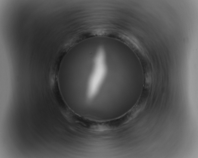 X0000099950503200805301239