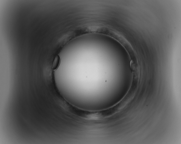 X0000099950505200805301239