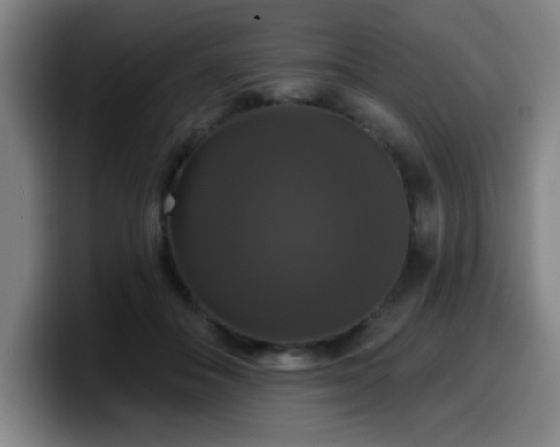 X0000099950506200805301239