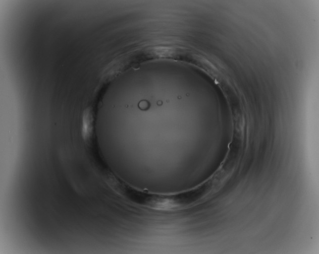 X0000099950507200805301239