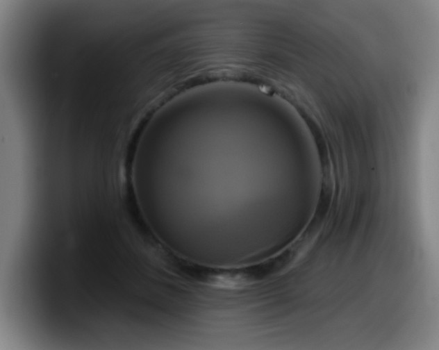 X0000099950508200805301239