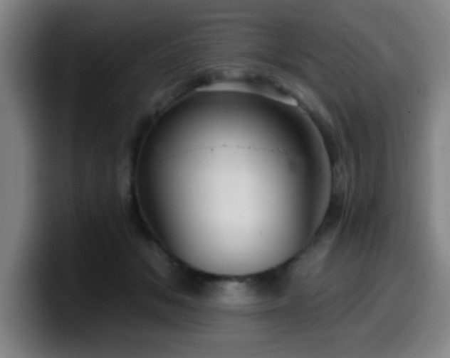 X0000099950509200805301239