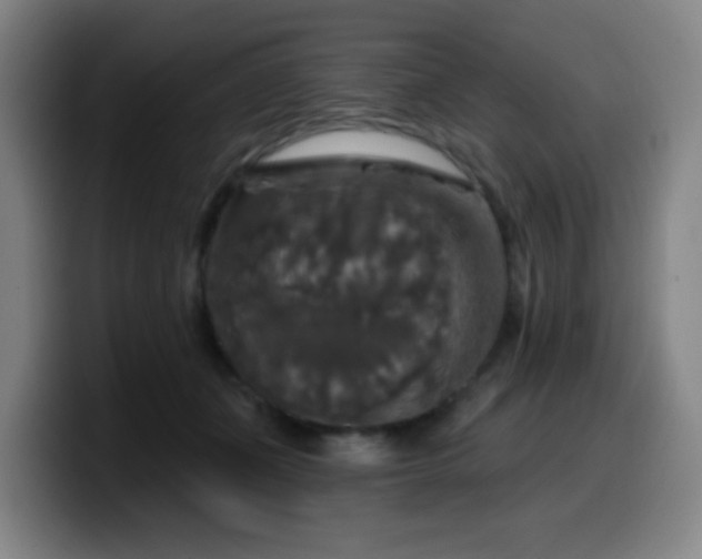 X0000099950511200805301239