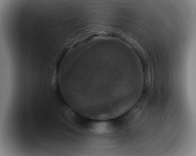 X0000099950513200805301238