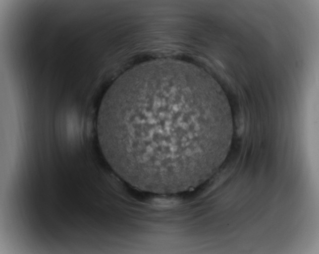 X0000099950515200805301238
