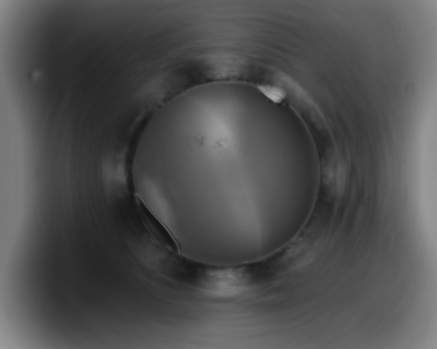 X0000099950516200805301238