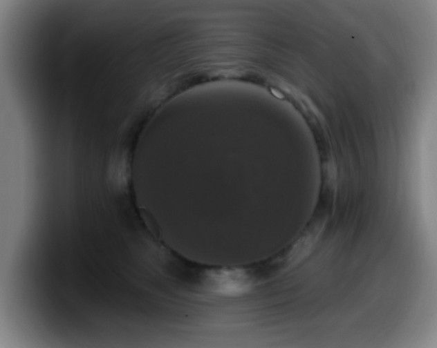 X0000099950517200805301238