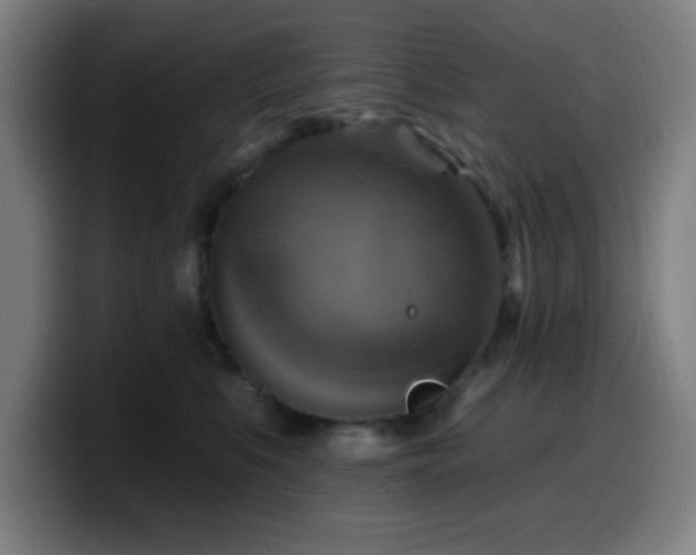 X0000099950519200805301238