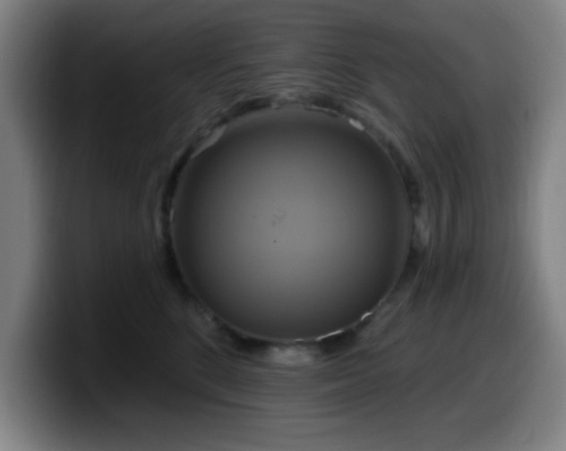 X0000099950520200805301238