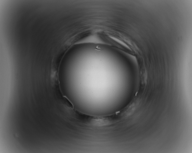 X0000099950521200805301238