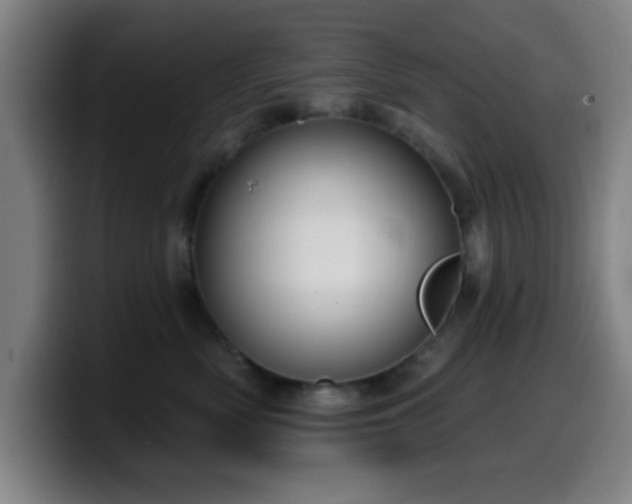 X0000099950522200805301238