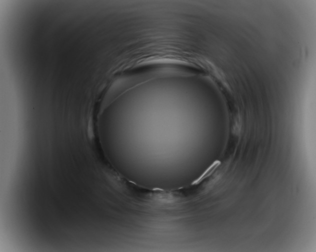 X0000099950524200805301238