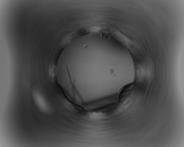 X0000099950525200805301238