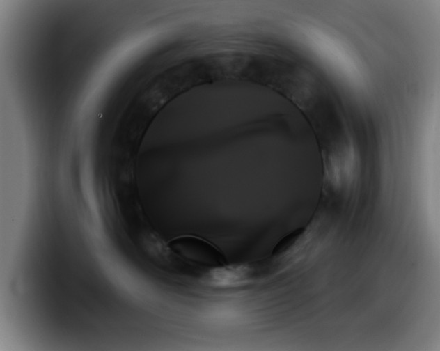 X0000099950526200805301238
