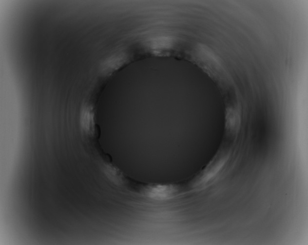 X0000099950527200805301238