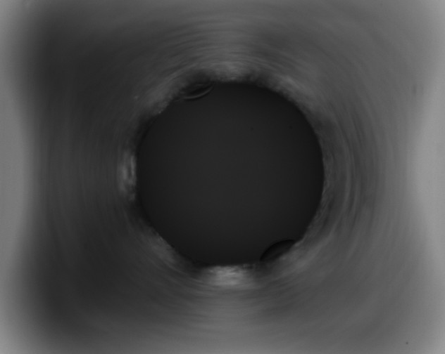 X0000099950528200805301238