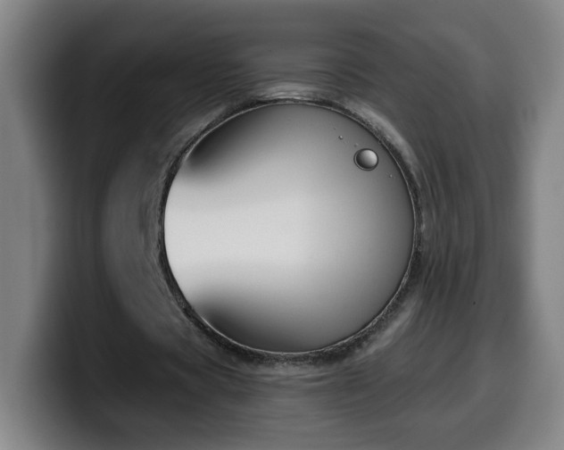 X0000099950529200805301238