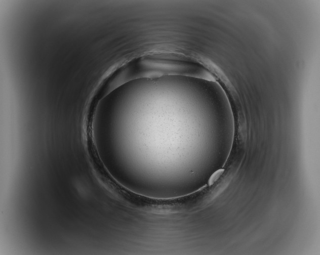 X0000099950530200805301238