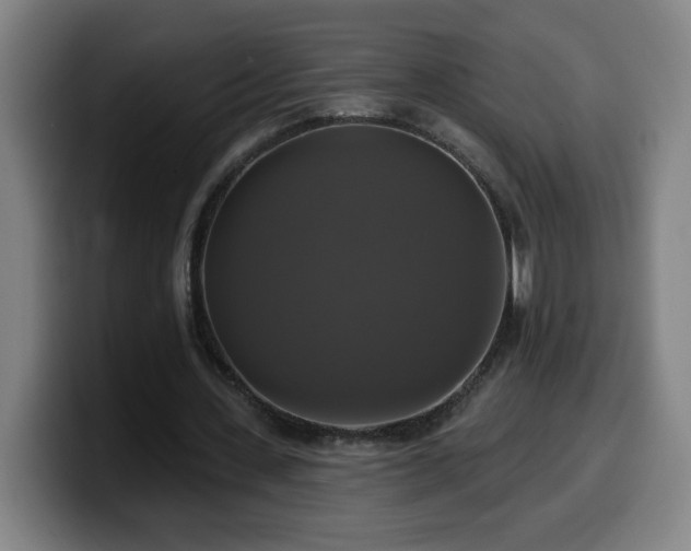 X0000099950531200805301238