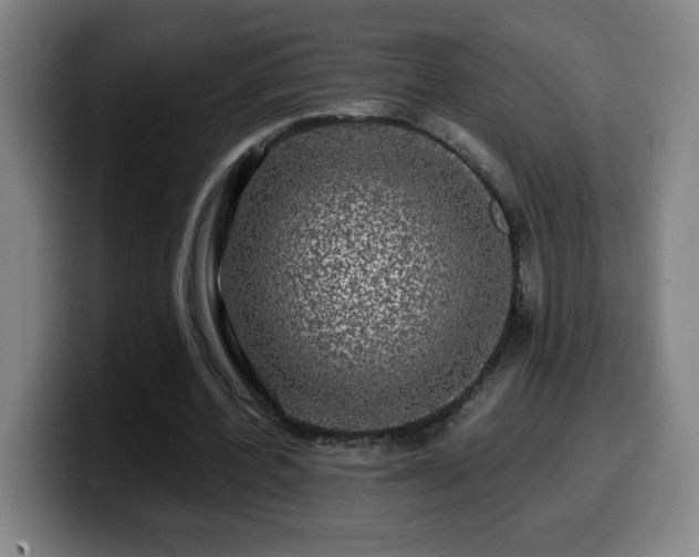 X0000099950532200805301238