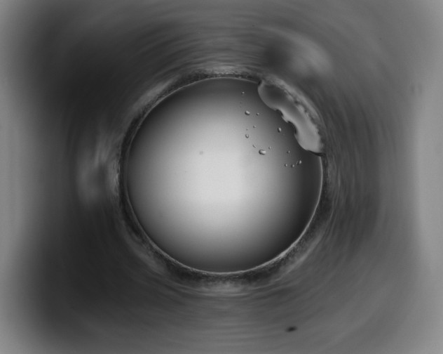 X0000099950533200805301238