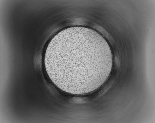 X0000099950534200805301238
