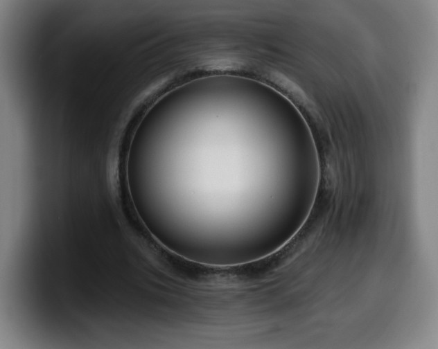 X0000099950535200805301238